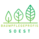 Baumpflege Soest